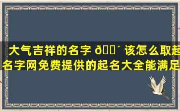 大气吉祥的名字 🐴 该怎么取起名字网免费提供的起名大全能满足需求吗